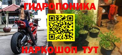 ПСИЛОЦИБИНОВЫЕ ГРИБЫ Нарткала